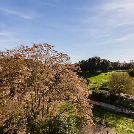 Chigi's Terrace Apartment Rome
